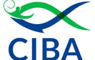 CIBA Recruitment 2023 – Apply Email For Various YP Post