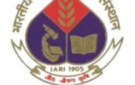 IARI Recruitment 2022 – Apply Online For Various Project Associate Post