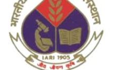 IARI Recruitment 2023 – Walk-In-Interview For 06 YP Posts