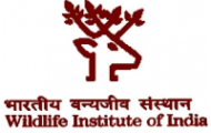 WII Recruitment 2022 – Apply Online For 78 Technical Assistant Post