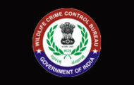 WCCB Recruitment 2023 – Apply Offline For 13 Head Constable Post