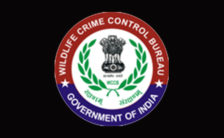WCCB Recruitment 2023 – Apply Offline For 13 Head Constable Post