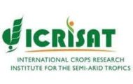 ICRISAT Recruitment 2021 – Apply Online For Various Consultant Post