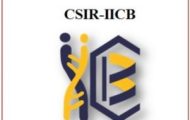 CSIR-IICB Recruitment 2021 – Apply For 20 JRF Post