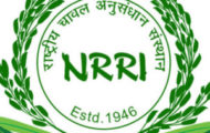 ICAR-NRRI Recruitment 2022 – Apply For 21 Clerk Post