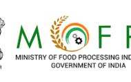 MOFPI Recruitment 2022 – Apply Online For 29 Manager Post