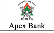 Apex Bank Recruitment 2022 – Apply Online For 129 Manager Post