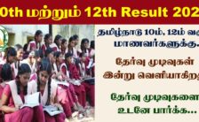 TN SSLC & HSC Result 2022 – 10th & 12th Public Results Announced
