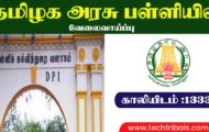 TN Govt School Recruitment 2022 – Apply Offline For 13,331 Teachers Post