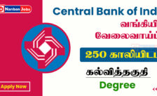 Central Bank of India Recruitment 2023 – Apply Online For 250 Executive Post
