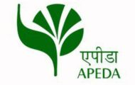 APEDA Recruitment 2023 – Apply Online For 11 AGM Posts