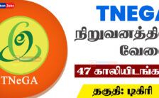TNeGA Recruitment 2023 – Apply Email For 47 Functional consultant Posts