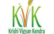 KVK Recruitment 2023 – Apply Offline For Various Driver Post
