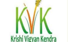 KVK Recruitment 2023 – Apply Offline For Various Driver Post